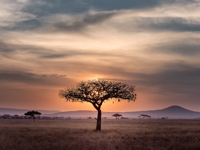 De beste reistijd voor een vakantie naar Zuid-Afrika tips