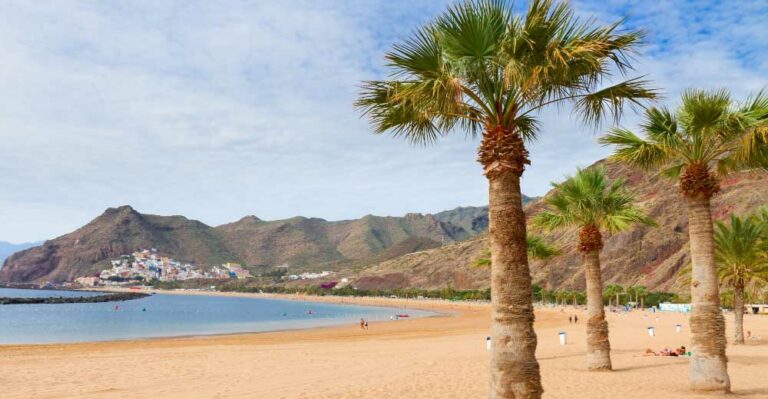 Welk Canarisch Eiland is het warmst in de winter? Bekijke de top-3!